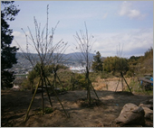 椿井史跡公園の保全活動・地域の活性化に活用しました。