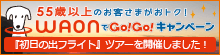 初日の出フライトツアーJALチャーター機から見る初日の出