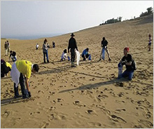 鳥取砂丘ボランティア除草を実施しました。