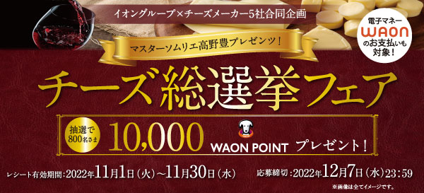 WAON POINT ワオンポイントカード 800枚 未使用 未登録 ネット販売済み