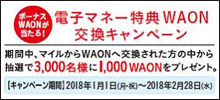 電子マネー特典WAON交換キャンペーン
