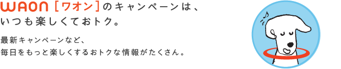 キャンペーン情報