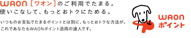 WAON[ワオン]のご利用でたまる。使いこなして、もっとおトクにためる。　いつものお支払いでたまるポイントとは別に、もっとおトクな方法が。これであなたもWAONポイント活用の達人です。
